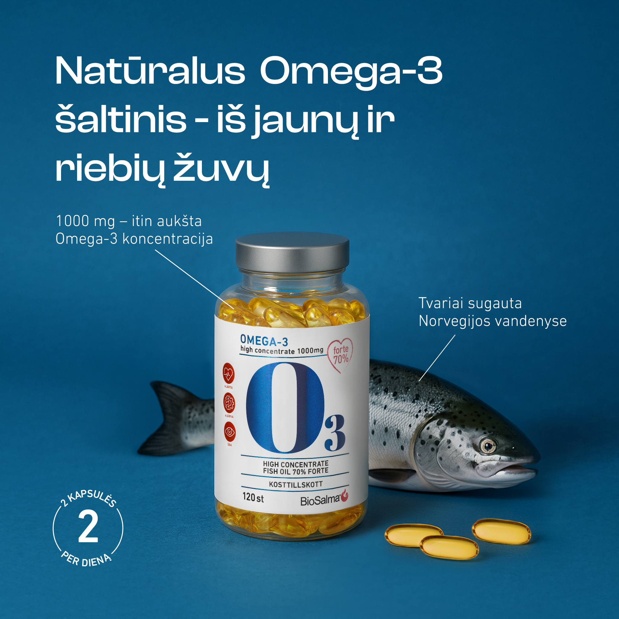 Omega-3 Forte 70%, 120 capsules