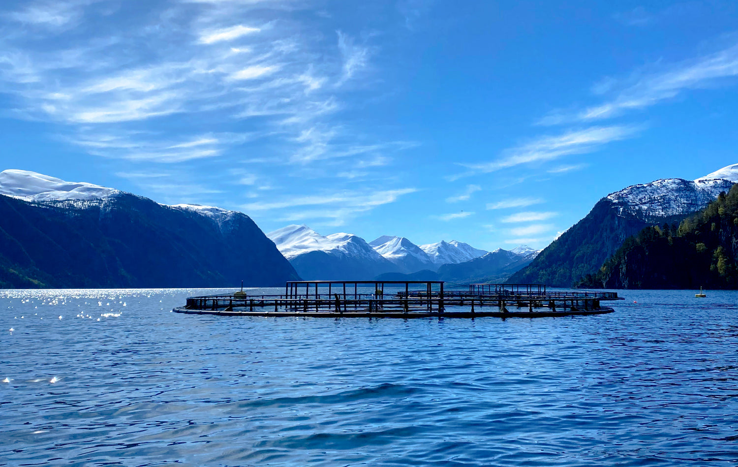 Fjord Sales