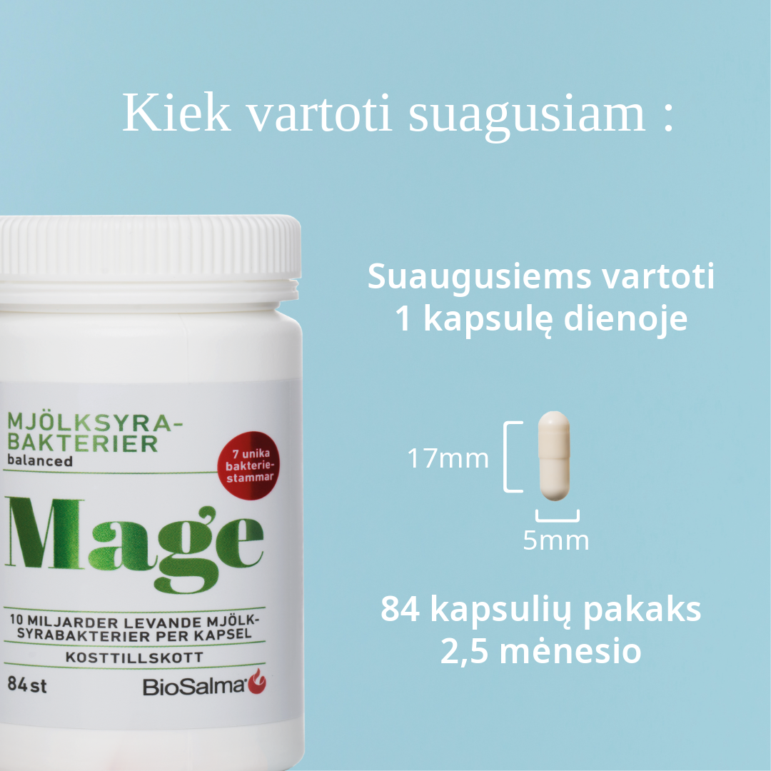Lactic acid bacteria, 84 capsules