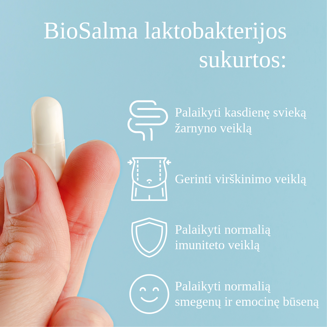 Lactic acid bacteria, 84 capsules