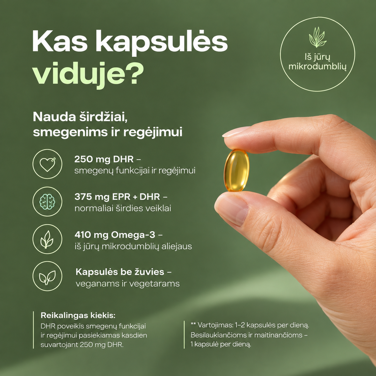 Omega-3 Vegan, 60 kapsulių